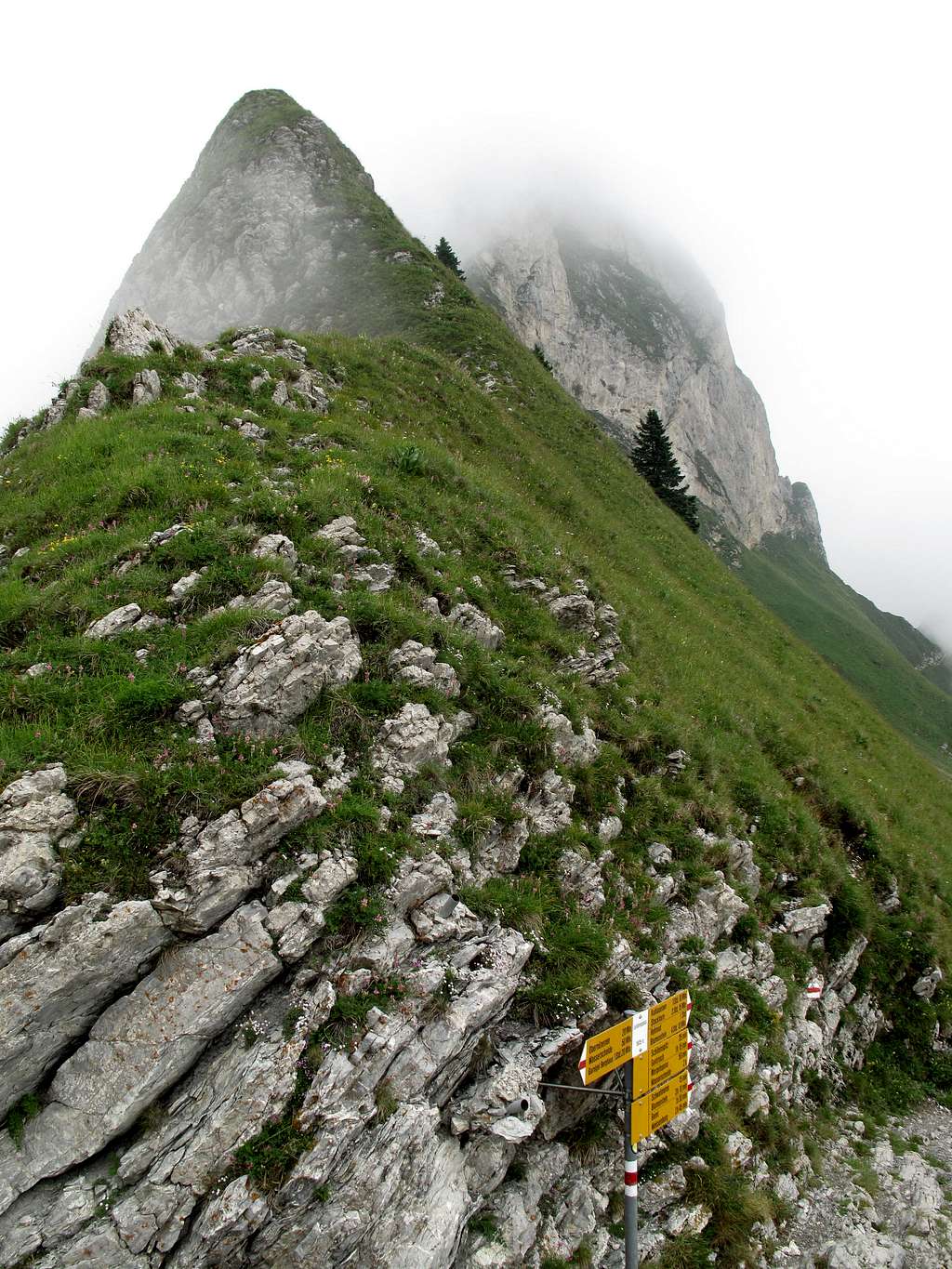 Swiss Hike 10