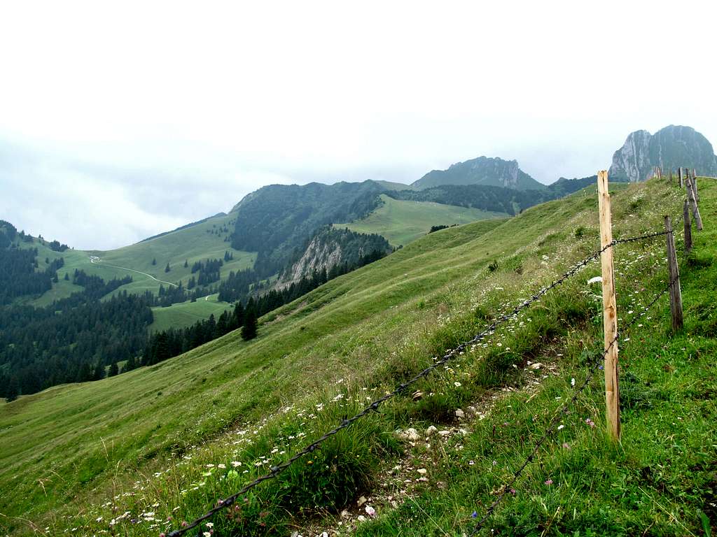 Swiss Hike 12