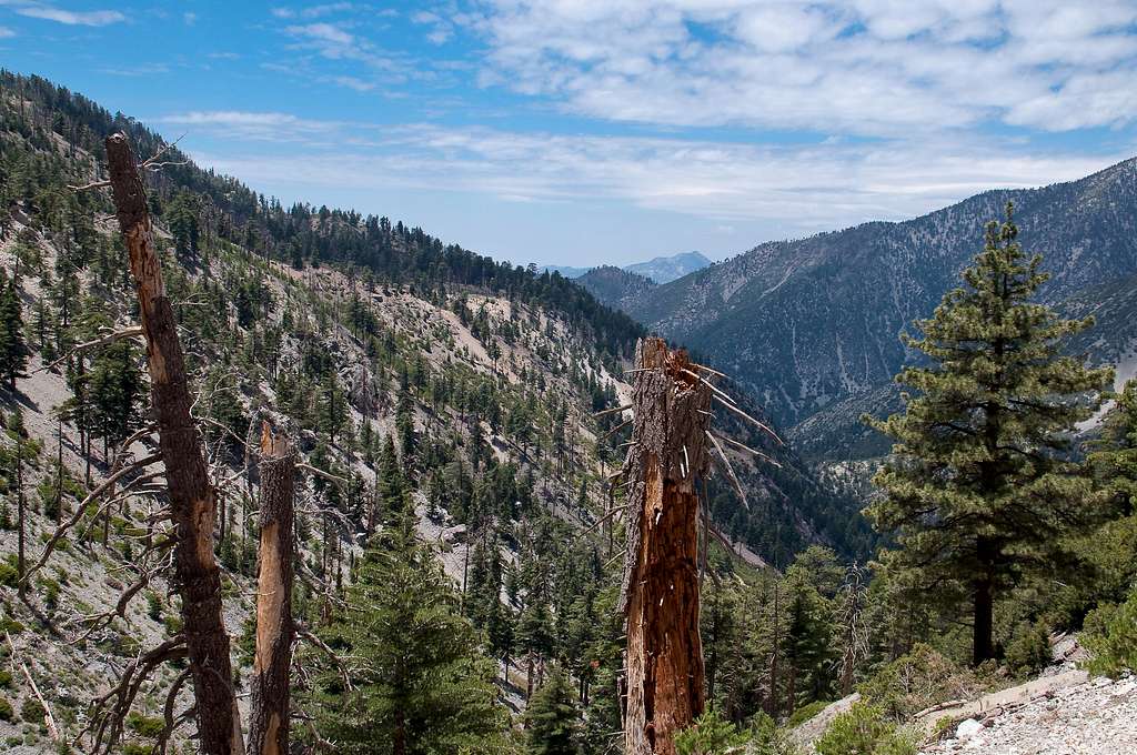 Icehouse Canyon