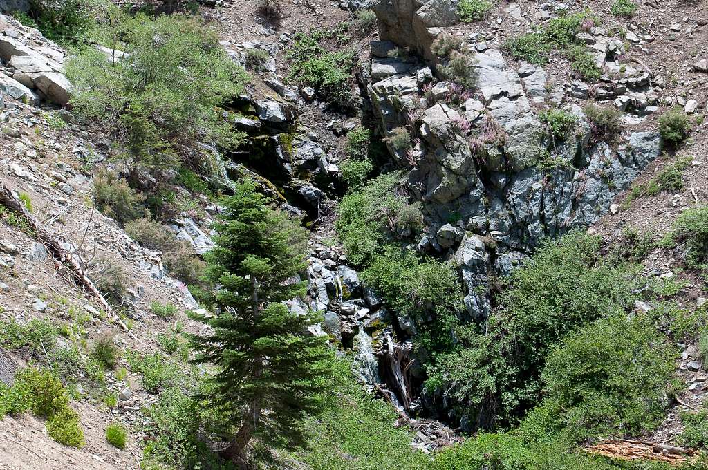 Icehouse Canyon