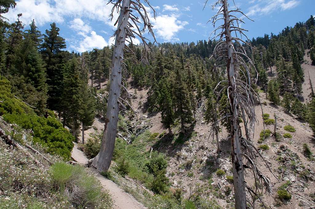 Icehouse Canyon