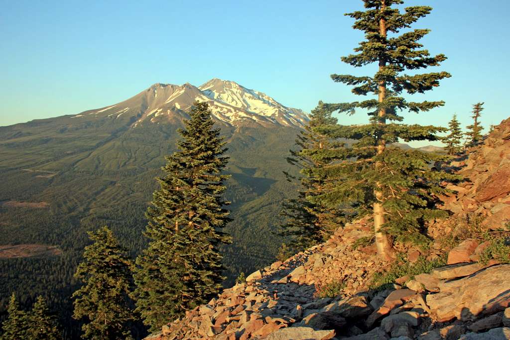 Mt. Shasta from the Black Butte Trail