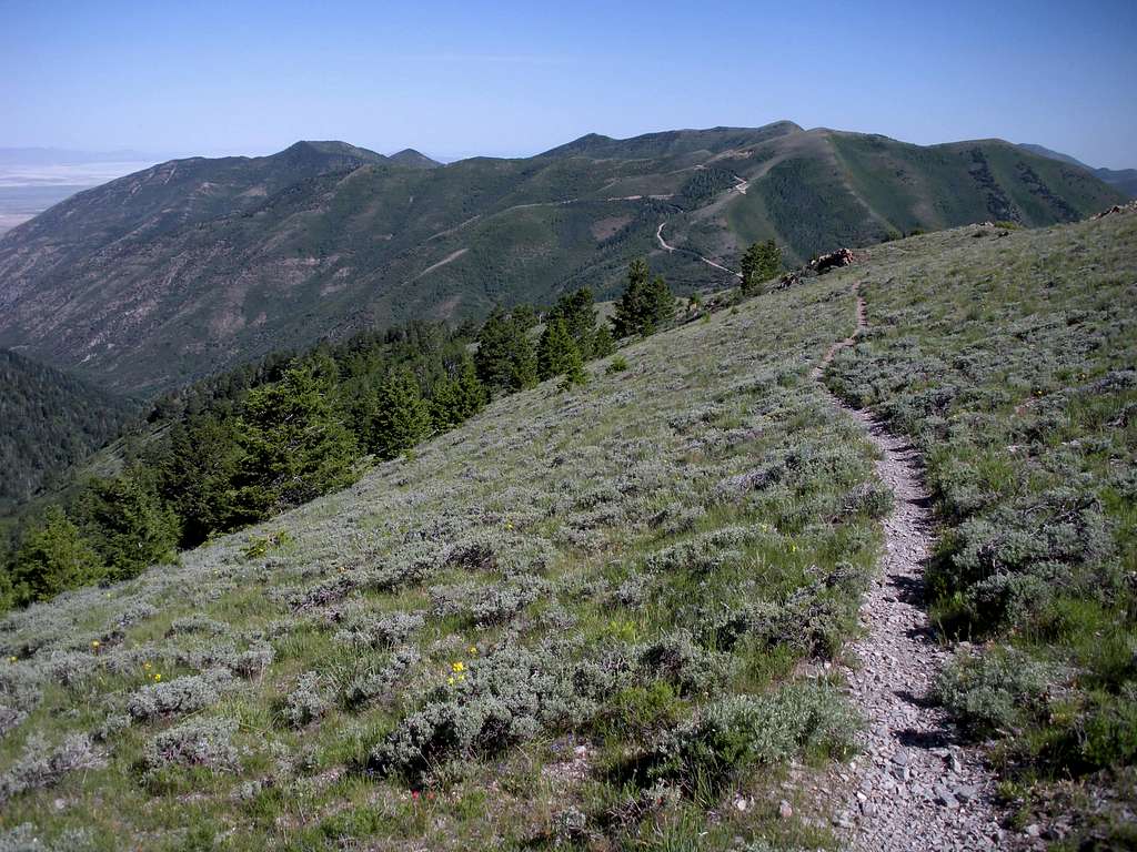 Trail above Butterfield Canyon