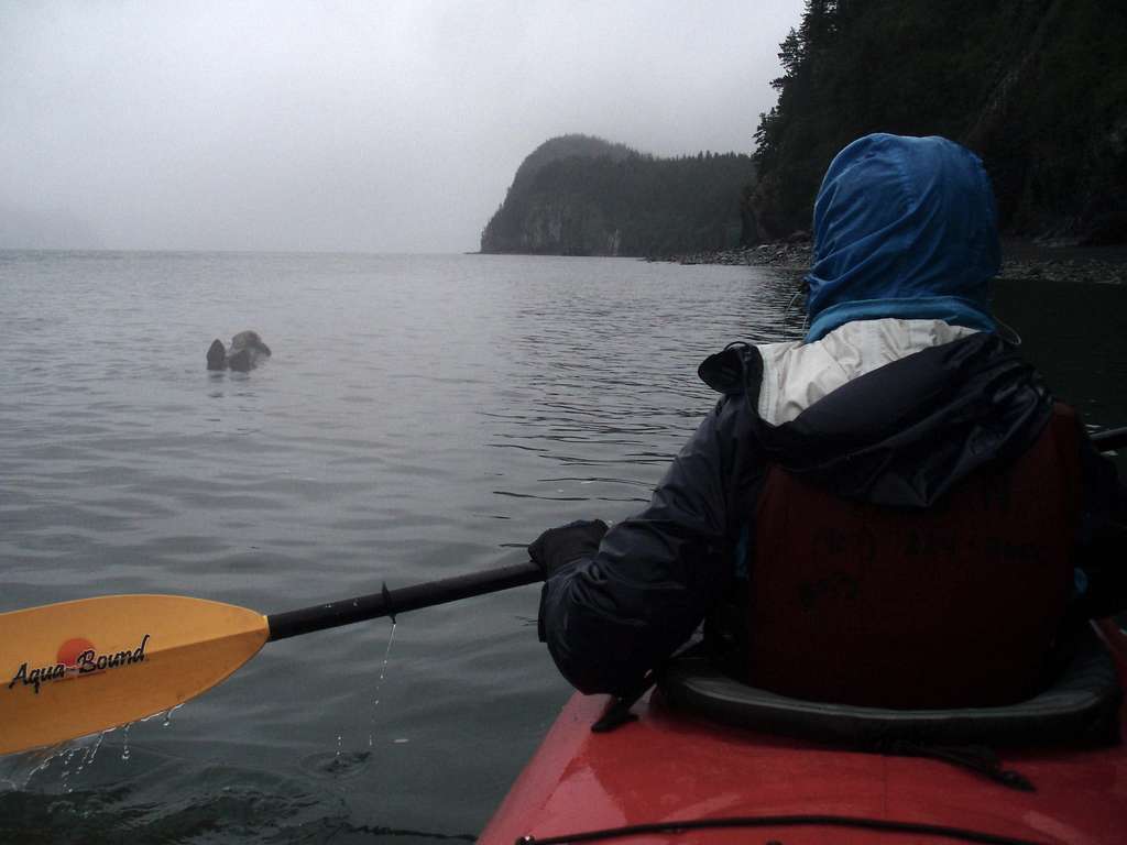 Kayaking with otters