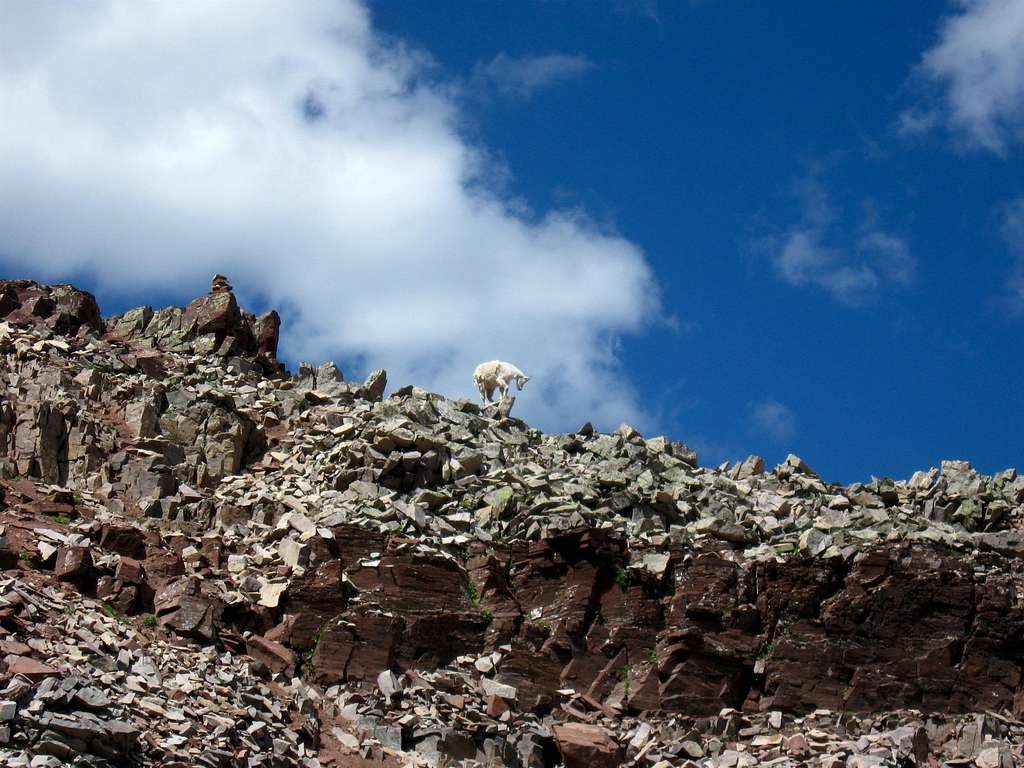 Mountain Goat, Part V: Ascension