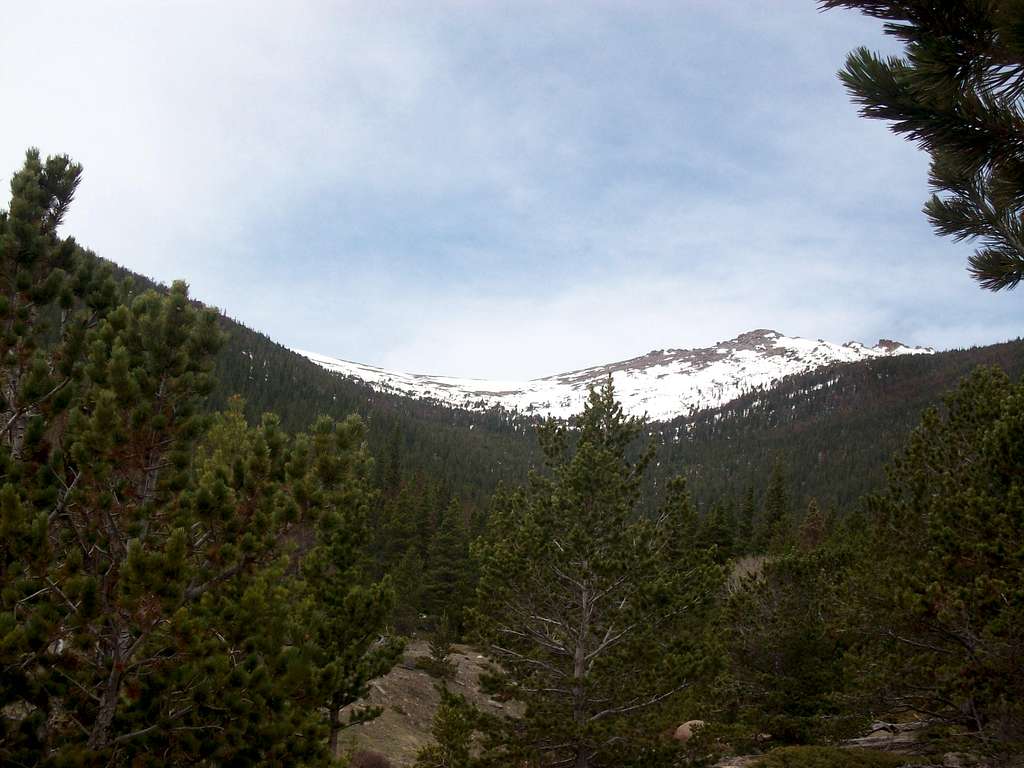 Timberline Pass from Ute Meadows