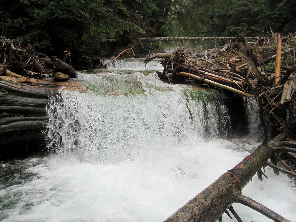 The old log crossing of Terror Creek