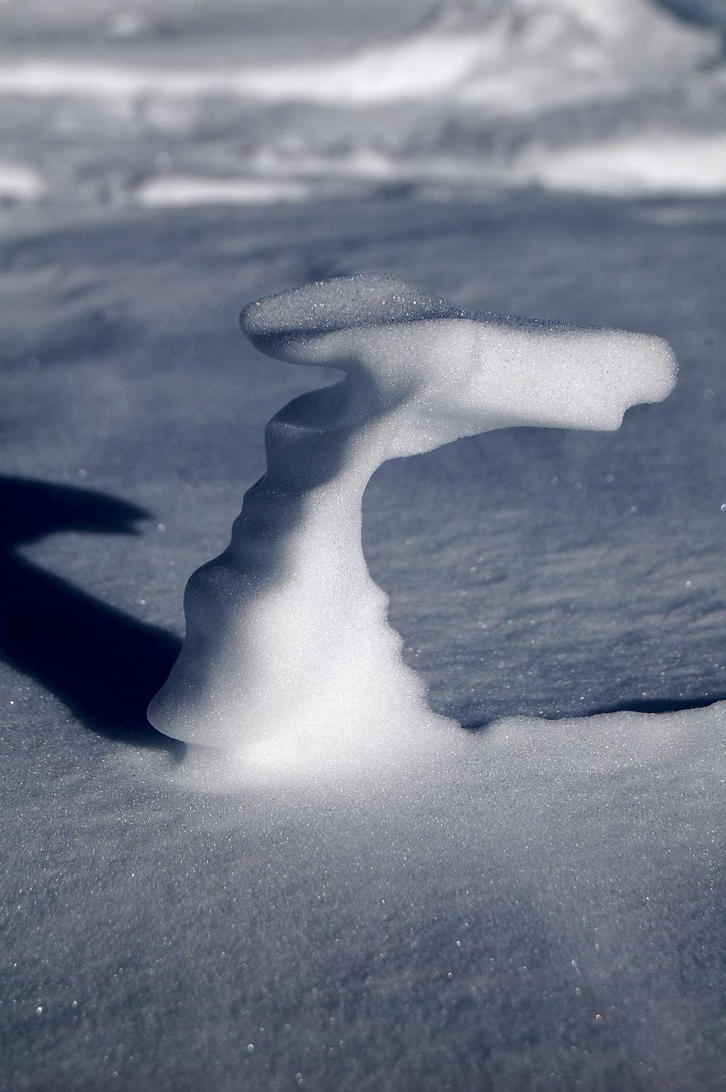 Snow Sculpture