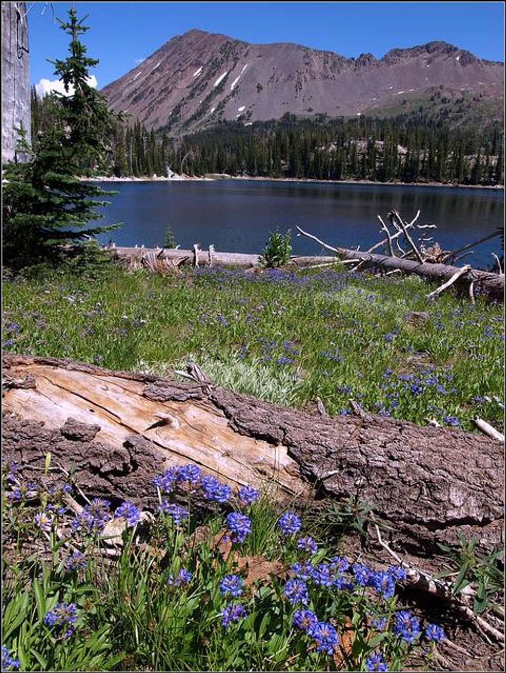 Red Mountain, Wallowa Mountains