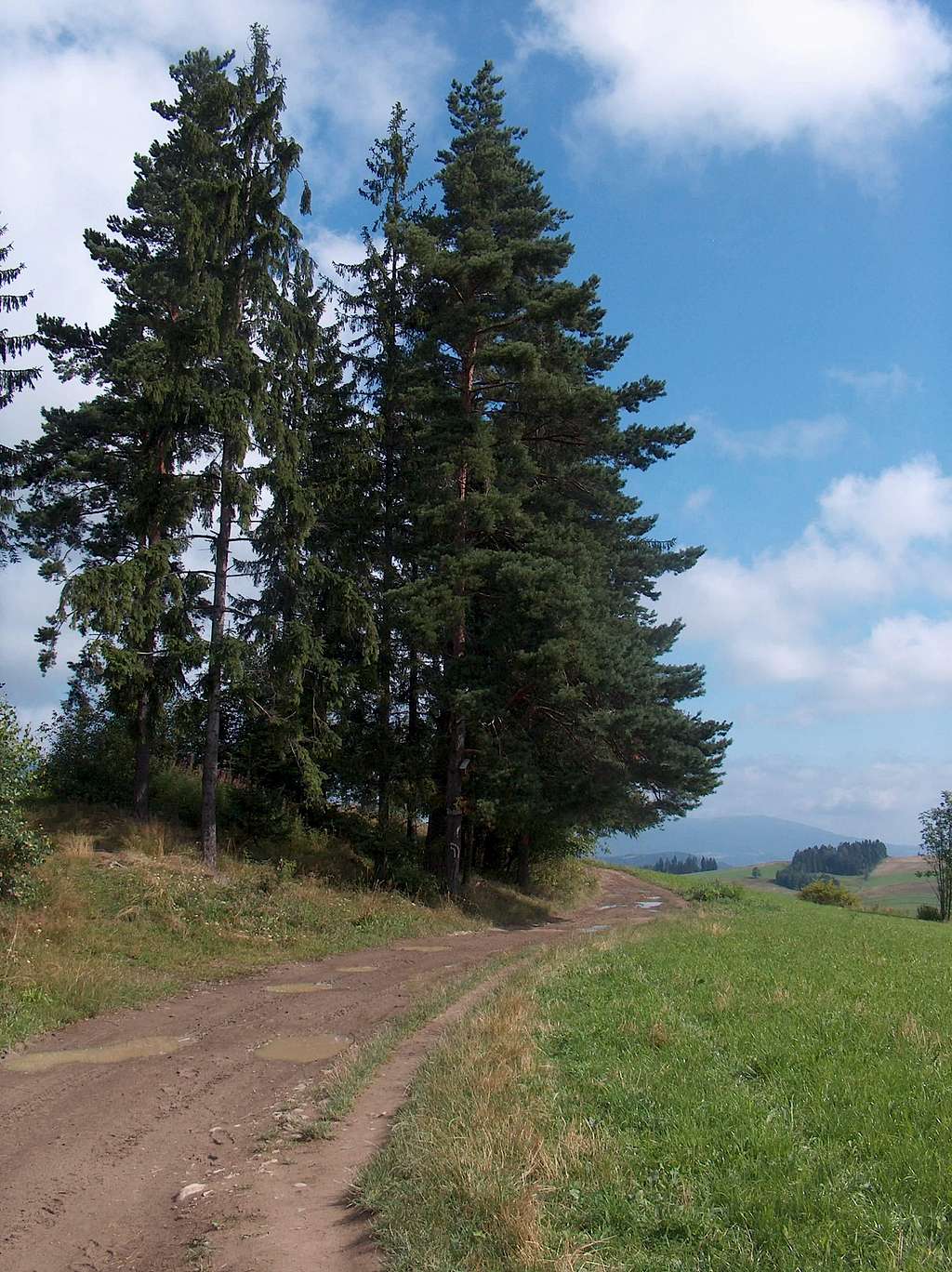 Trail to the Maciejowa hut, 2010