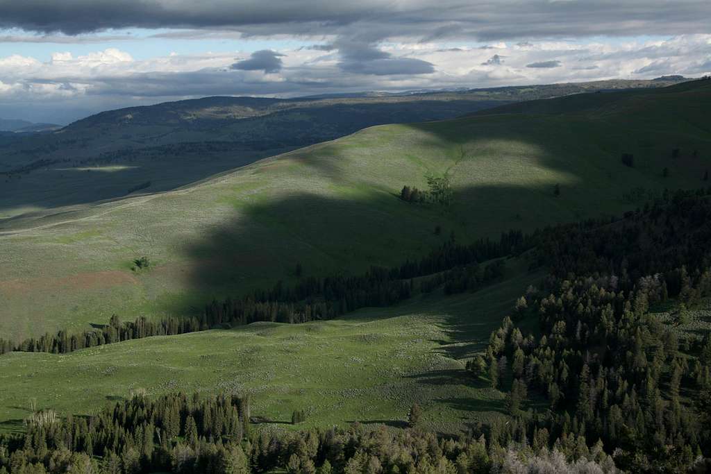 Lamar Valley Country 2