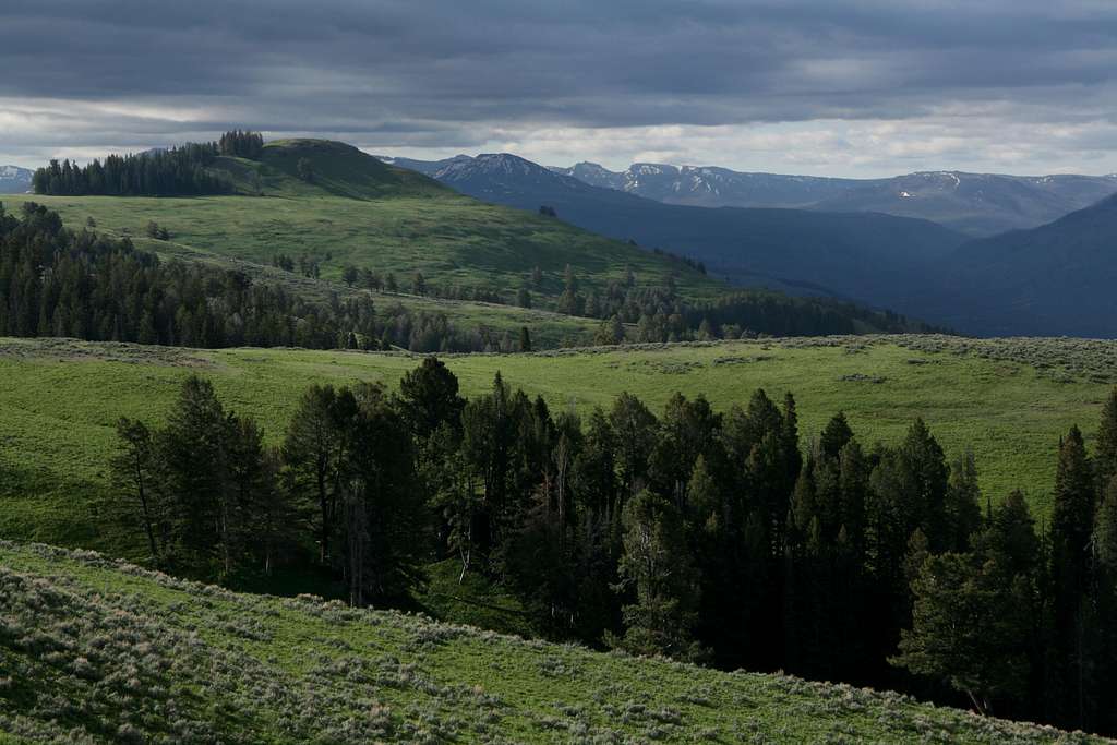 Lamar Valley Country 1