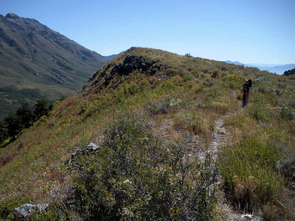 Trail near summit