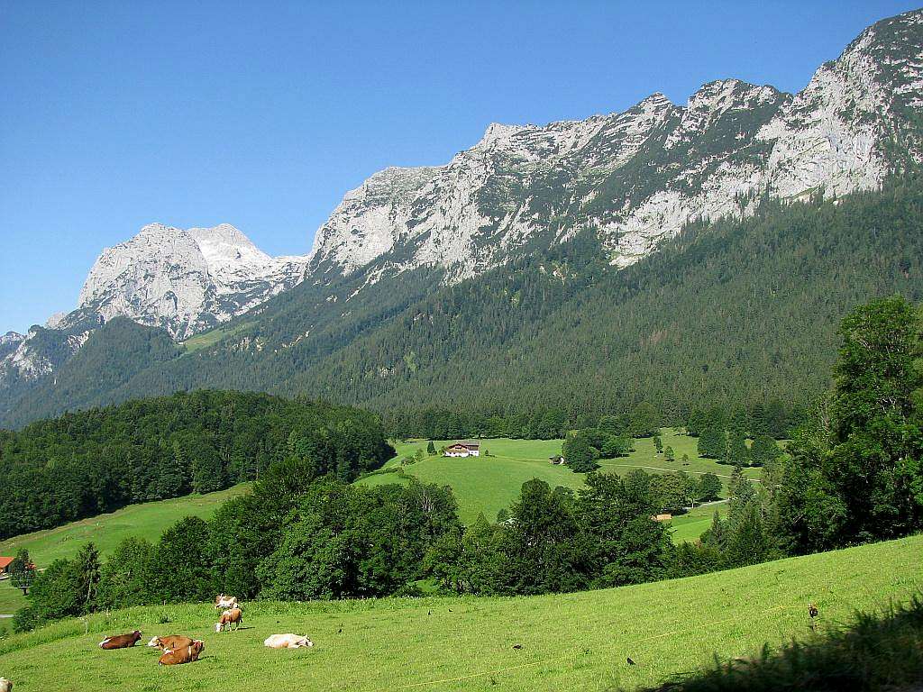 Reiter Alpe