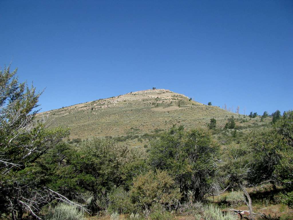 Zenobia Peak