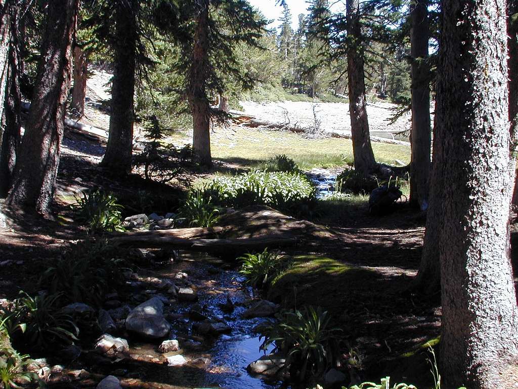 Stream into Teresa Lake