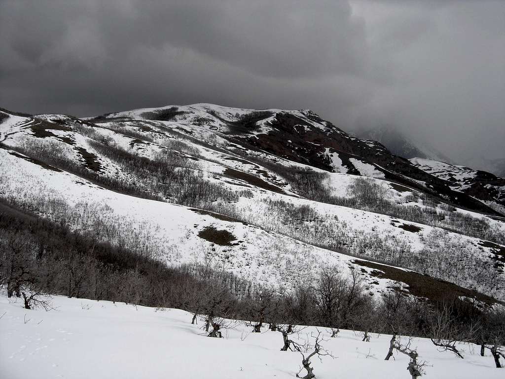 View to the summit