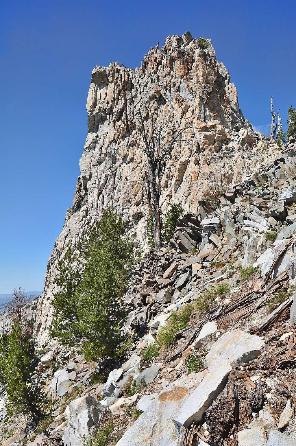 Ridge Pinnacles