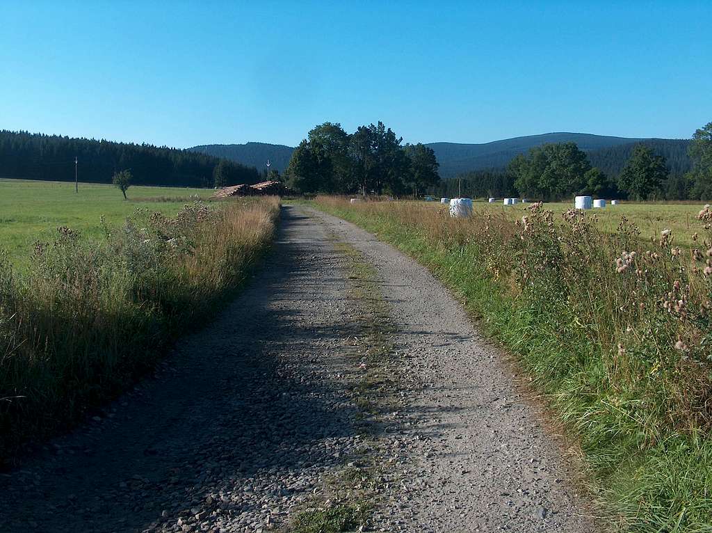 On the Rejvíz plateau