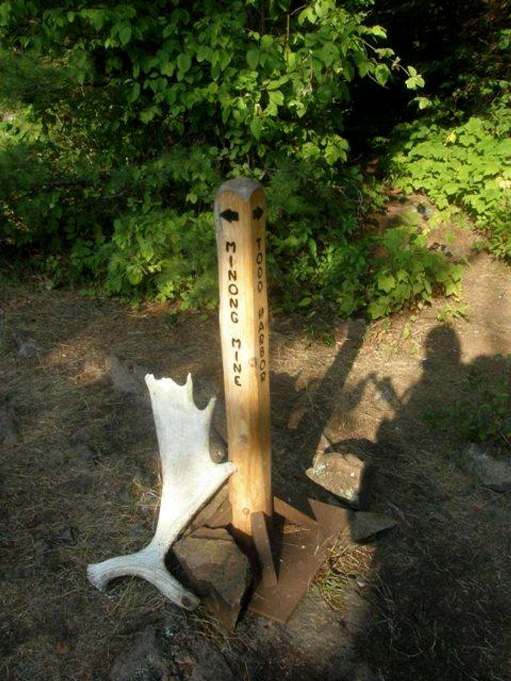 Moose antler and Minong Mine Trail Sign
