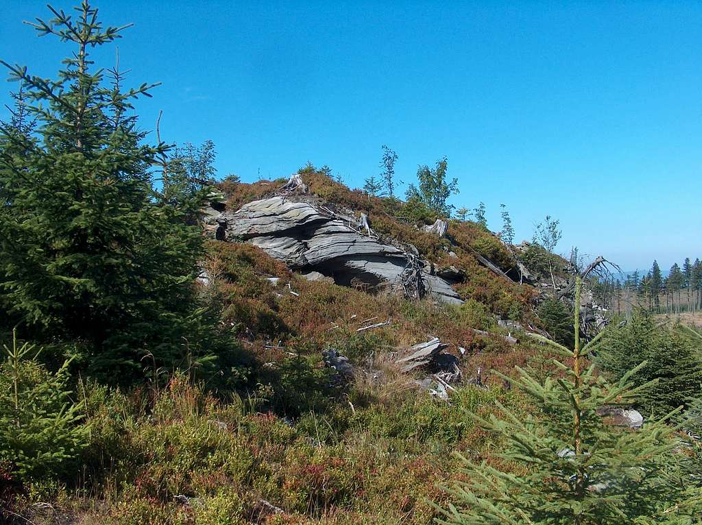 Gneiss outcrop, and field of blueberries