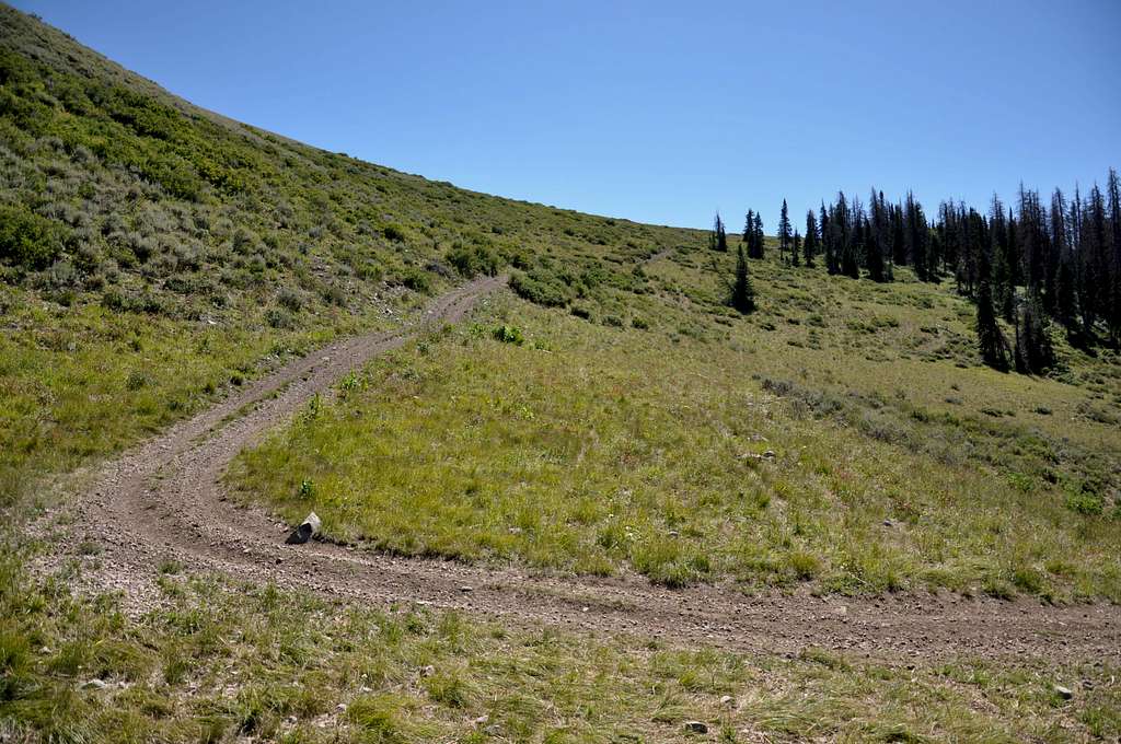 ATV trail gaining ridge