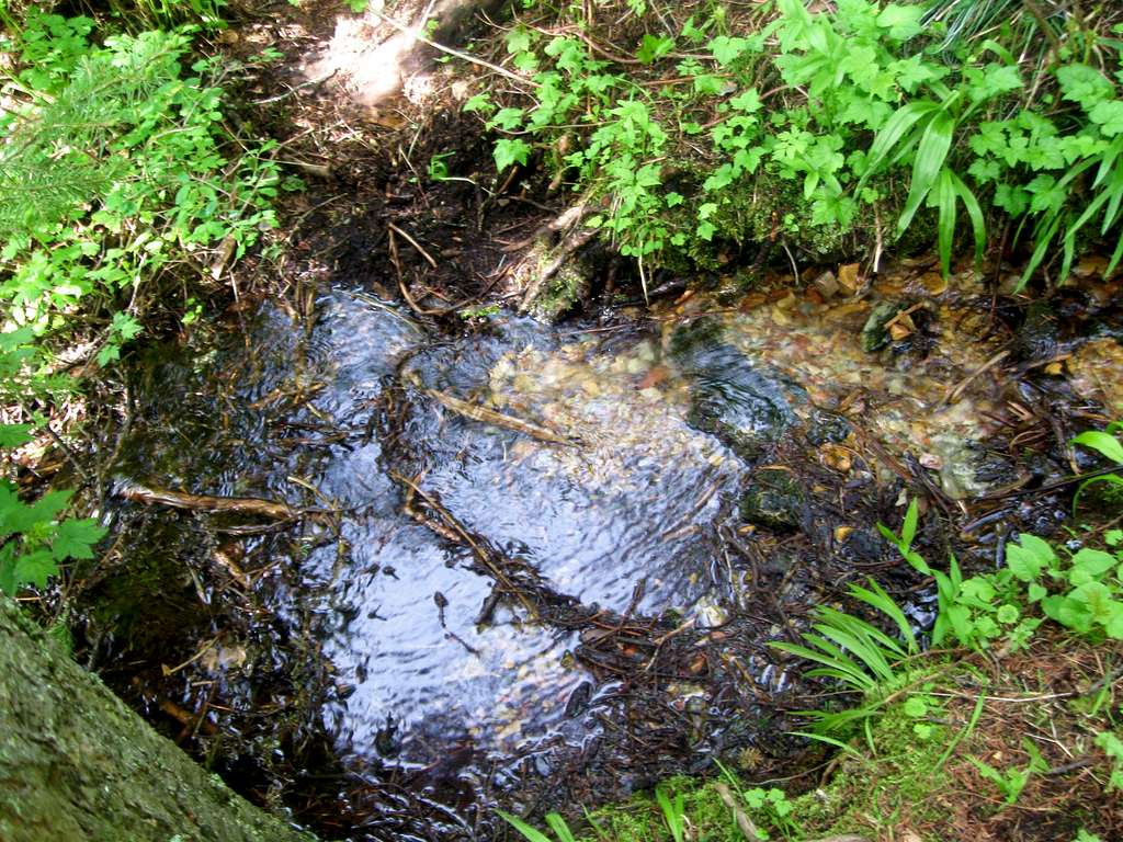 Small pond in the trail