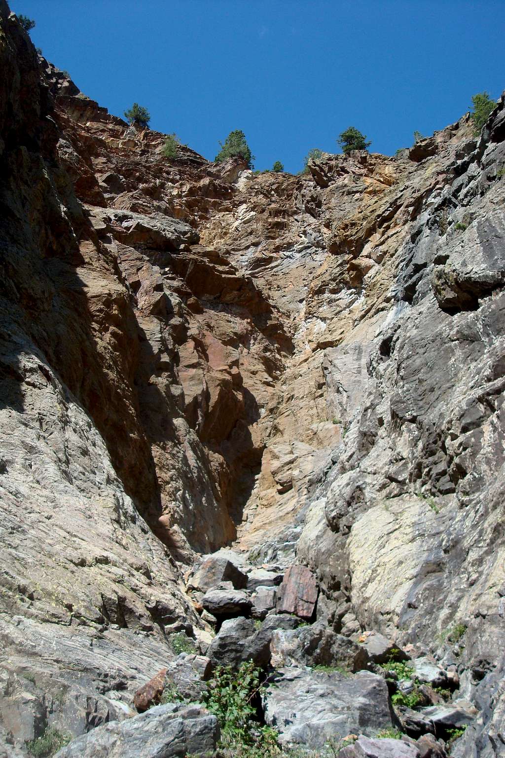 Overview of the gully