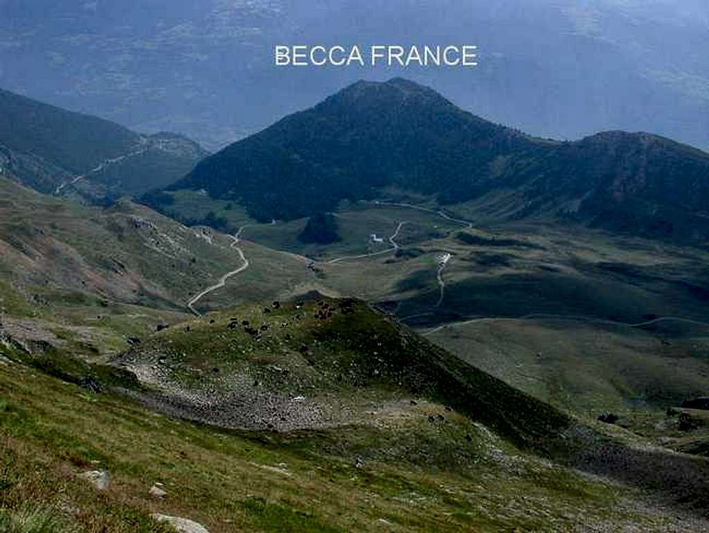 Becca France
