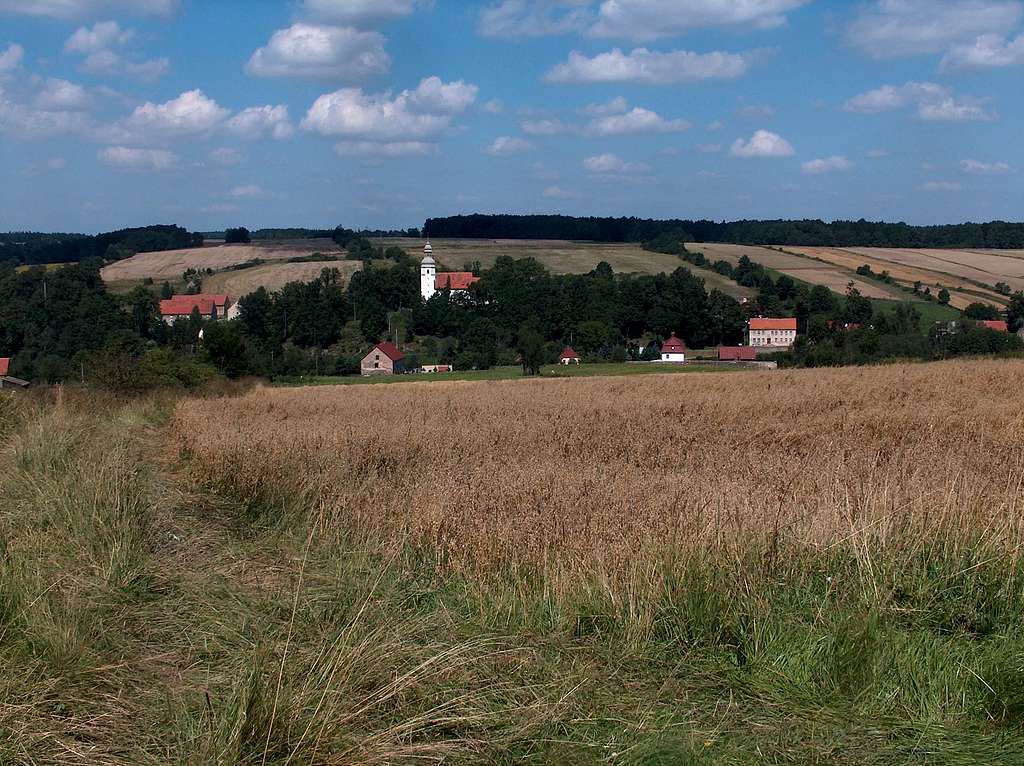 Panorama from Czartowska Skała