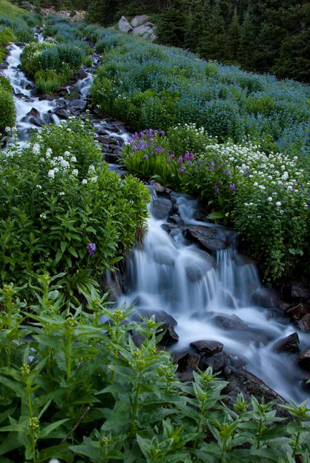 Indian Peaks Wilderness 