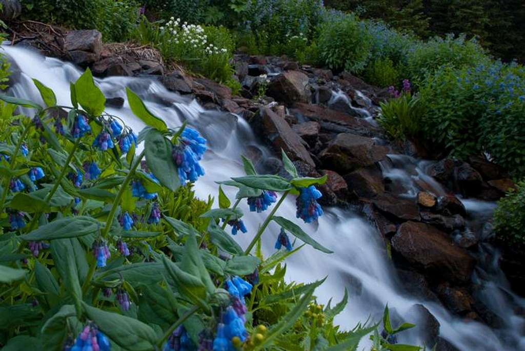 Indian Peaks Wilderness 