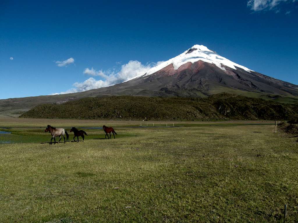 Cotopaxi