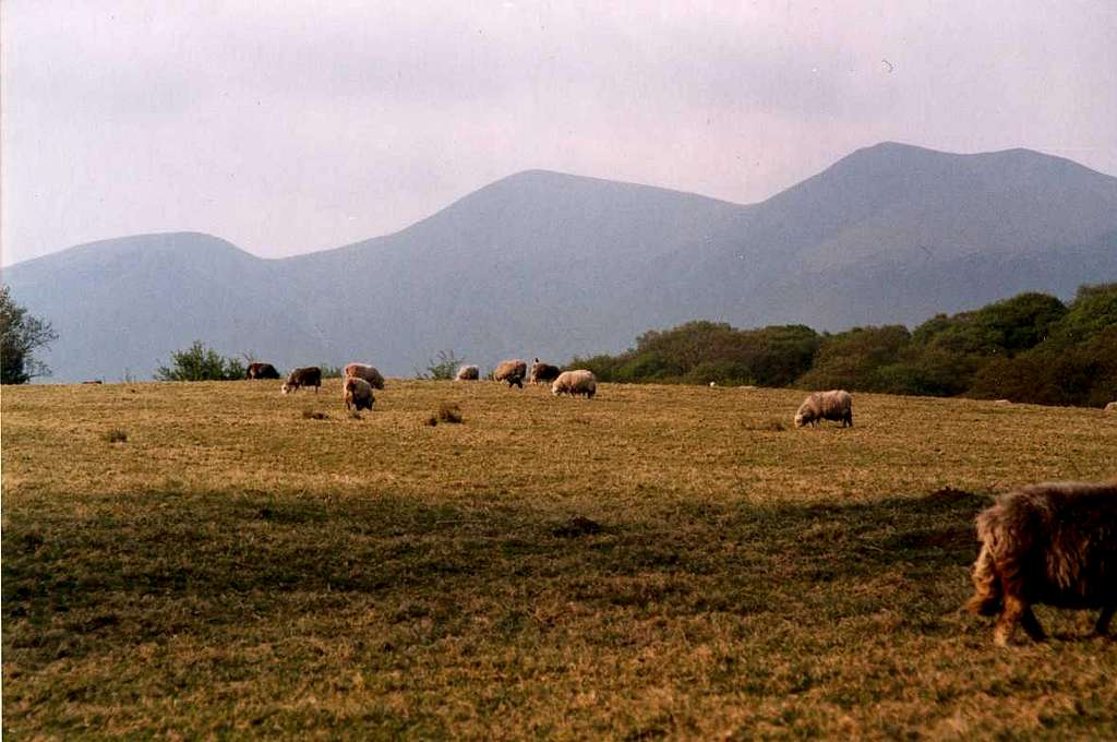 Lake District, by Dorota