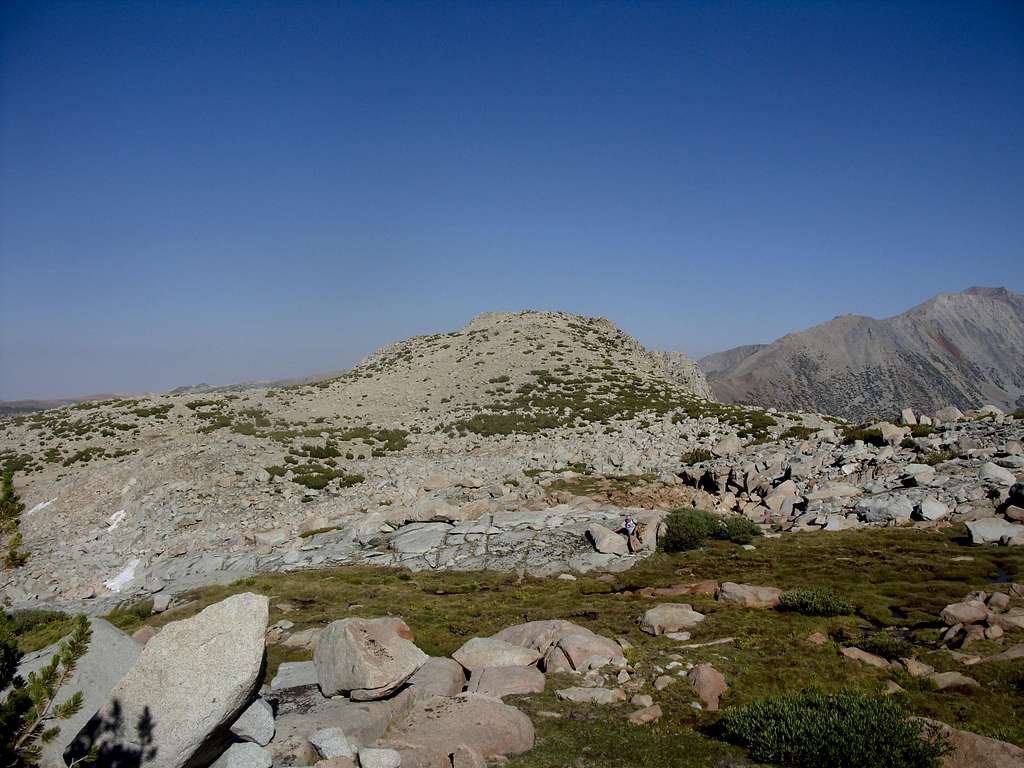 View of the brushy ridge up to the summit of Point 11938