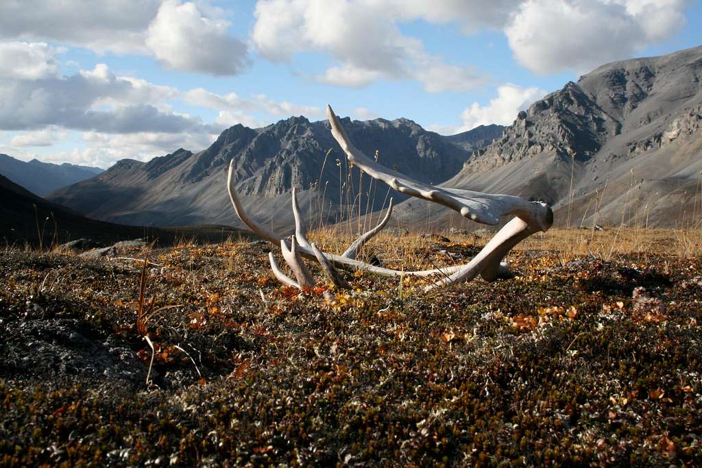 Brooks Range, Alaska