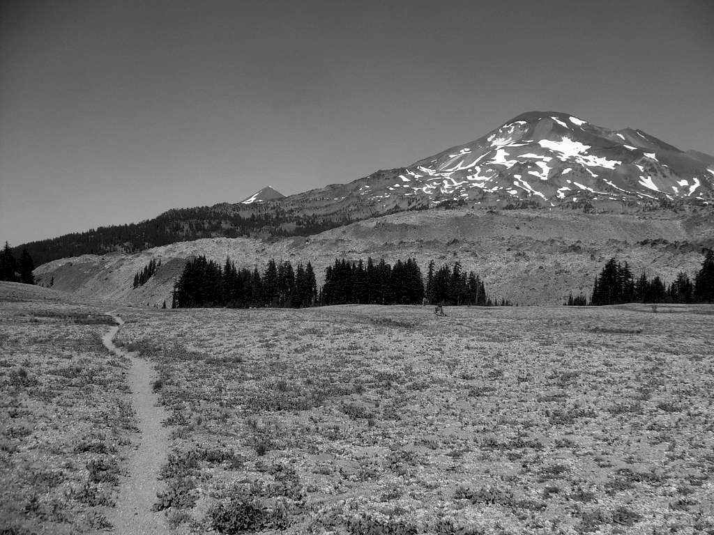 South Sister from Wickiup Plain