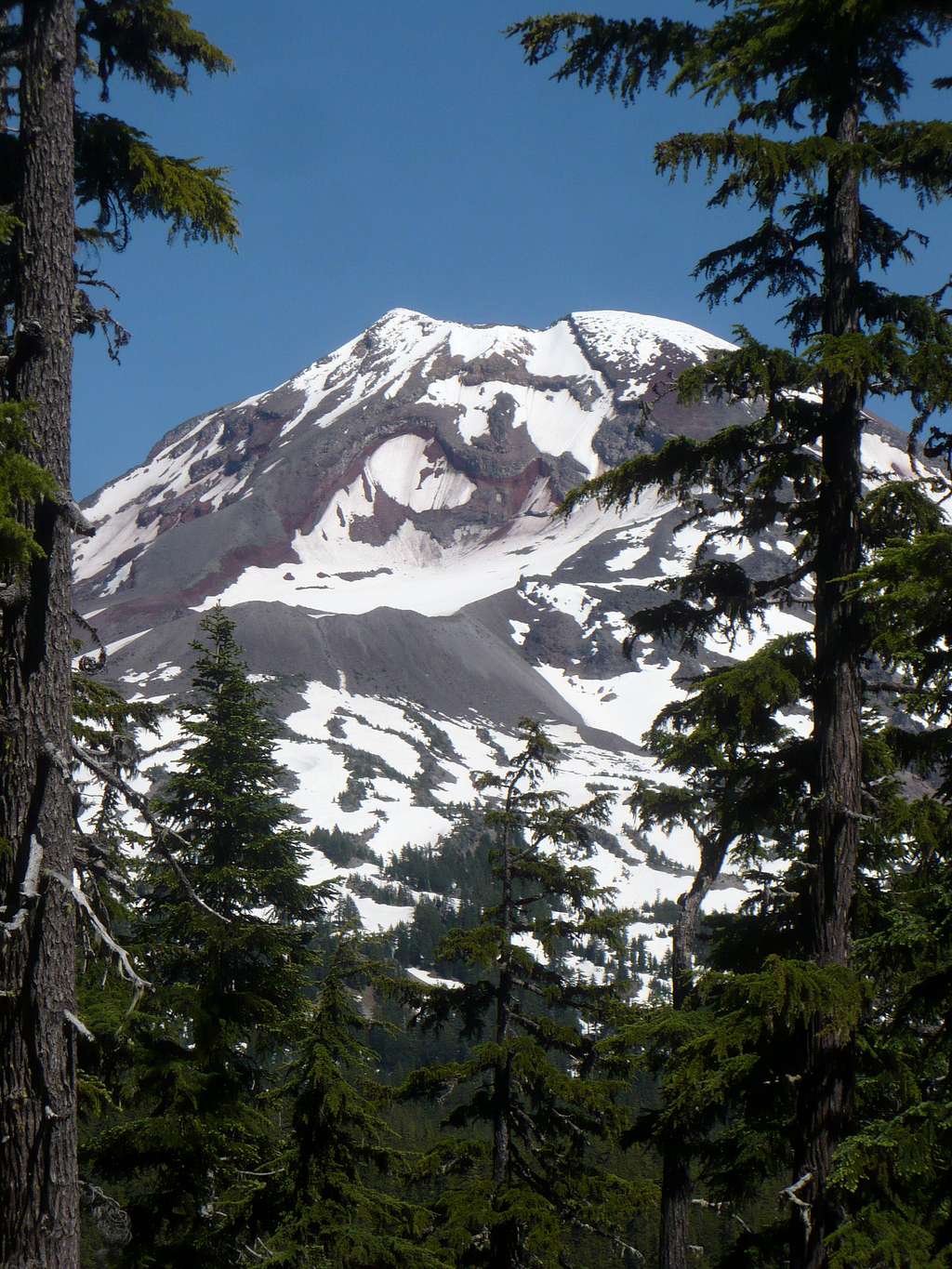 The South Sister from Foley Ridge