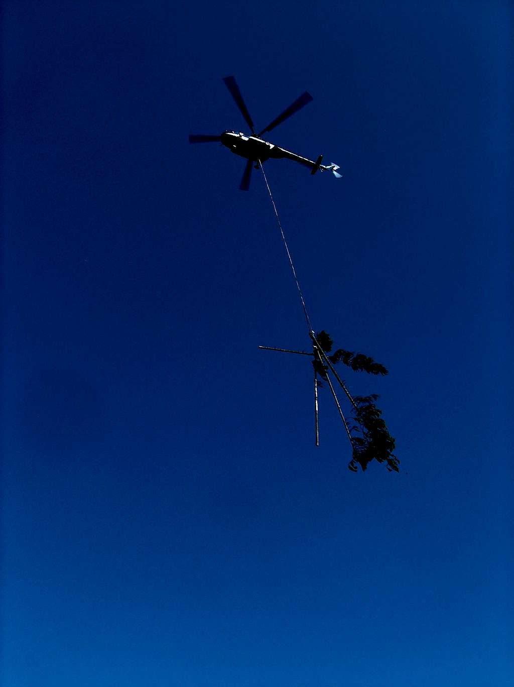 Helicopter carrying trees