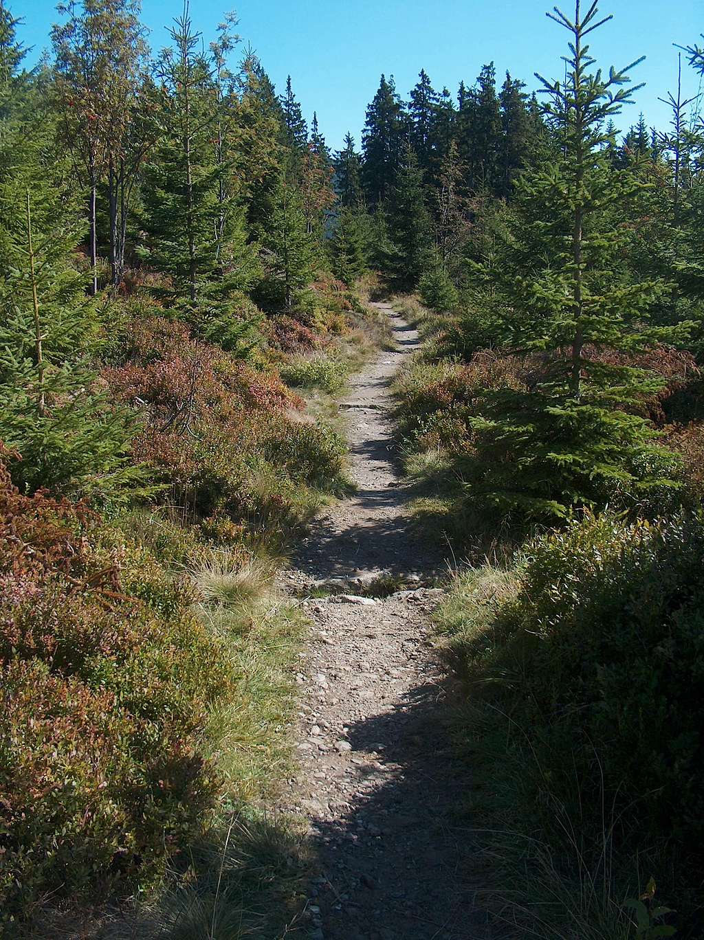 Trail down to Pec pod Sněžkou