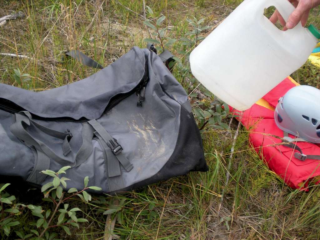 Bear bit through jug