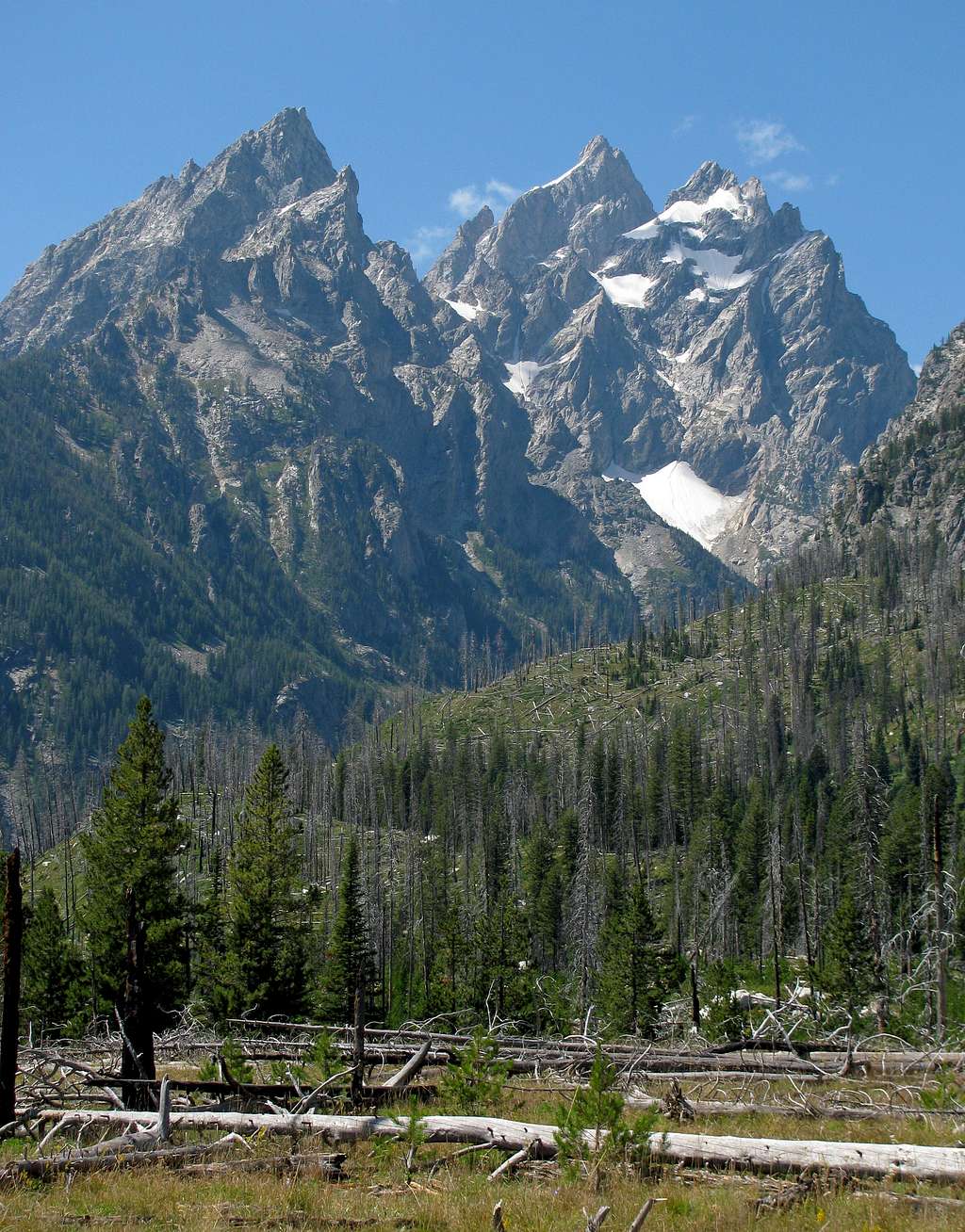 Cathedral Group from Teton Park Road