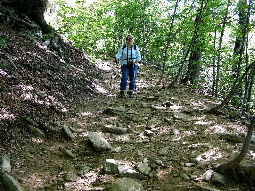 Blue trail to Mount Tarnica