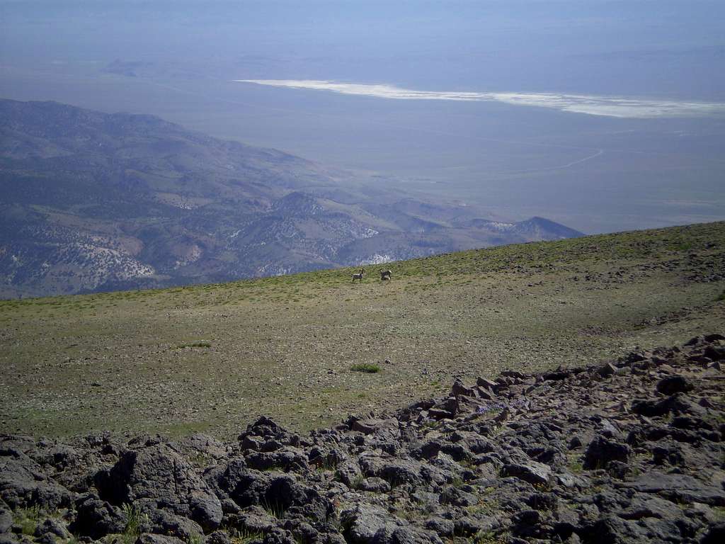 Mt. Jefferson Loop