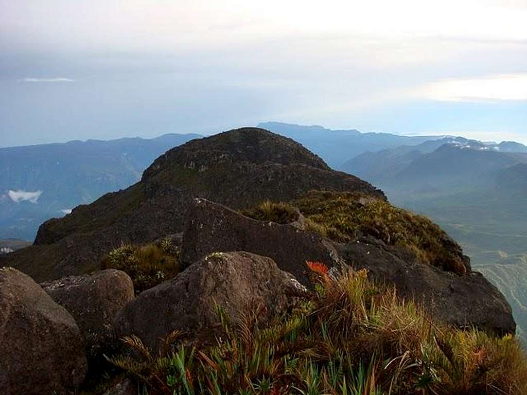 Pico 31 de março