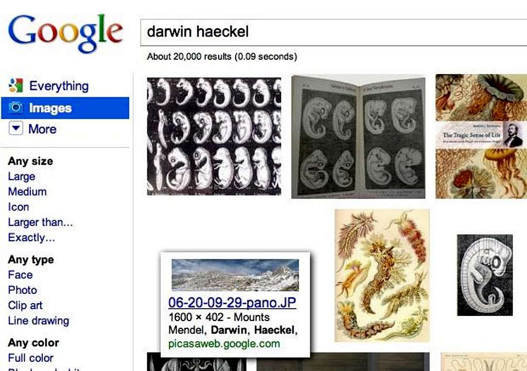 Finding Haeckel & Darwin