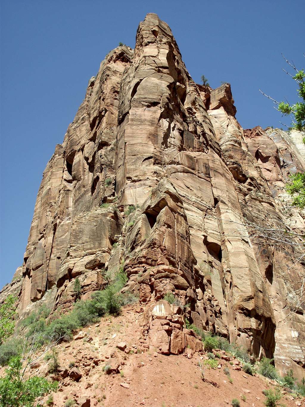 Zion Canyon Cliff