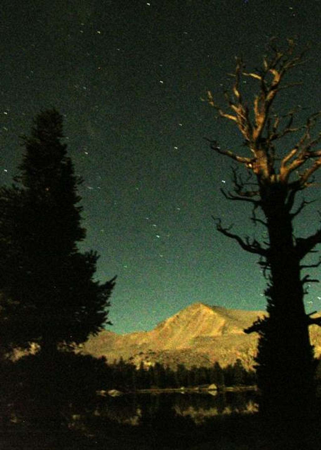 Cirque Peak, moonlit tree, stars
