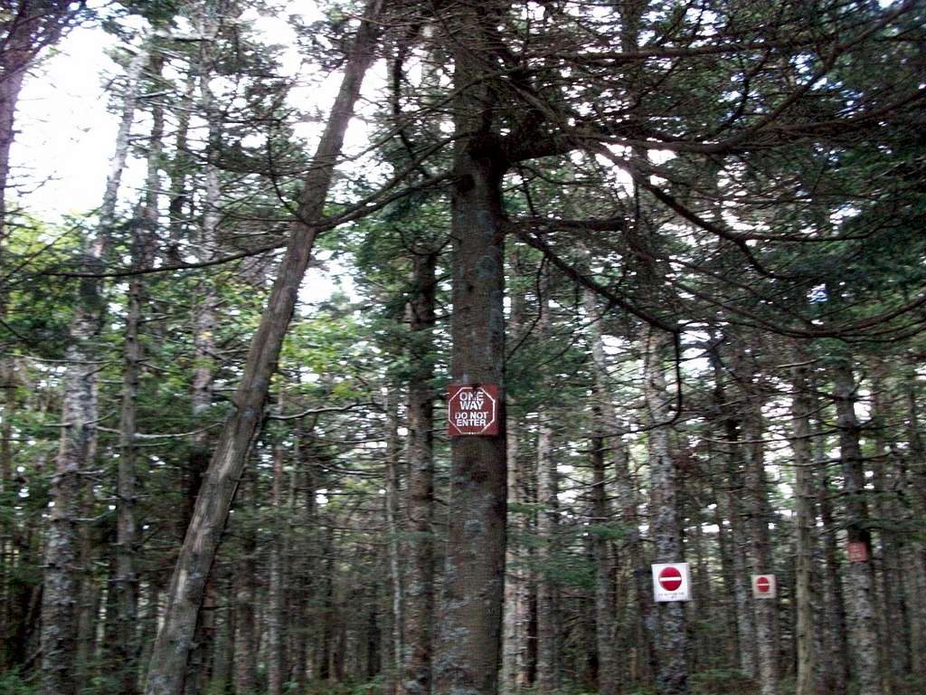 Odd trail signs