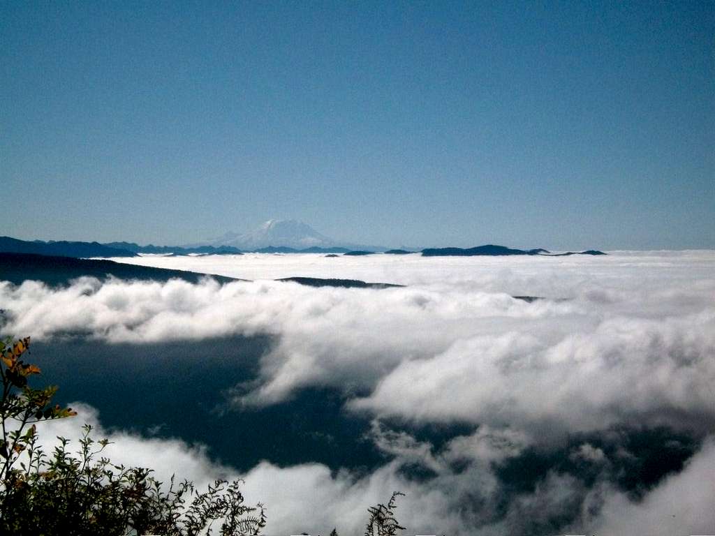 Rainier from the southern slope